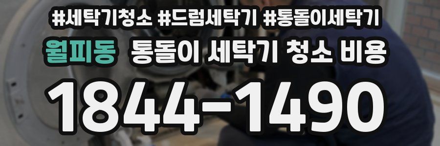 월피동 통돌이 세탁기 청소 비용