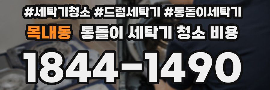 목내동 통돌이 세탁기 청소 비용