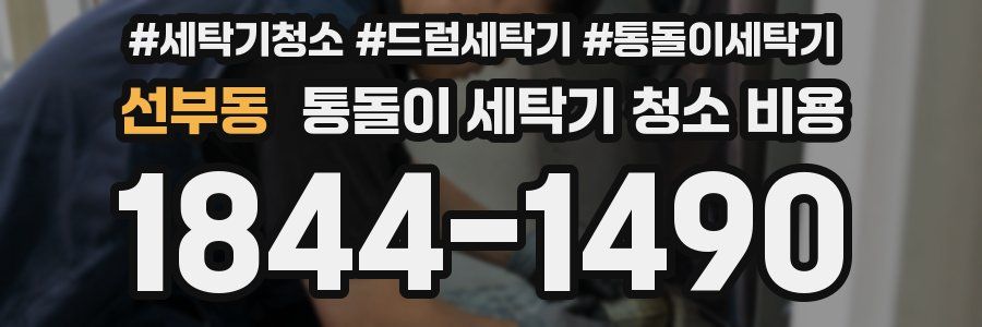 선부동 통돌이 세탁기 청소 비용