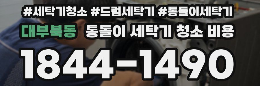 대부북동 통돌이 세탁기 청소 비용