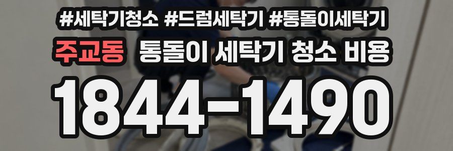 주교동 통돌이 세탁기 청소 비용