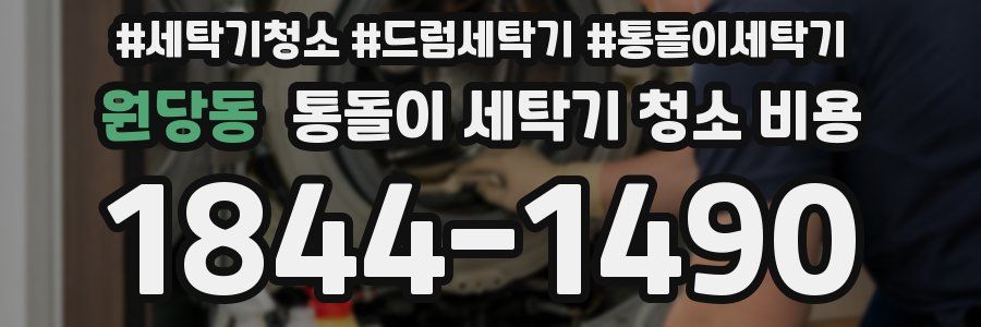 원당동 통돌이 세탁기 청소 비용