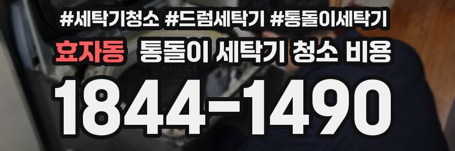 효자동 통돌이 세탁기 청소 비용