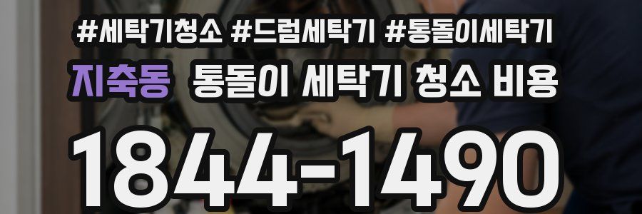 지축동 통돌이 세탁기 청소 비용
