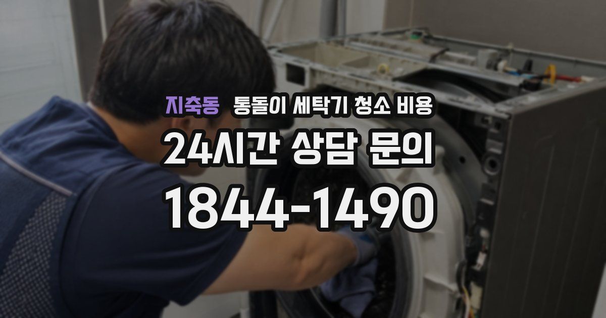 지축동 통돌이 세탁기 청소 비용