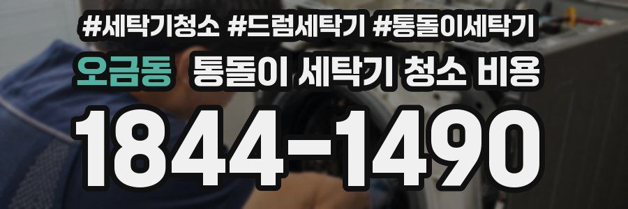 오금동 통돌이 세탁기 청소 비용