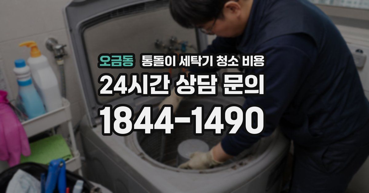 오금동 통돌이 세탁기 청소 비용