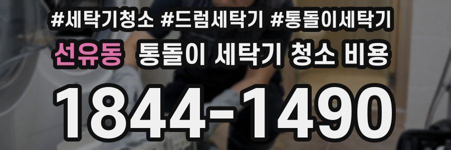 선유동 통돌이 세탁기 청소 비용