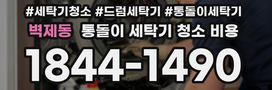 벽제동 통돌이 세탁기 청소 비용