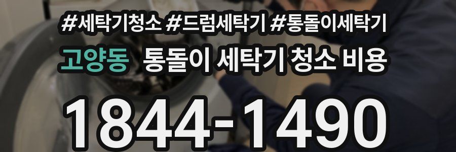 고양동 통돌이 세탁기 청소 비용