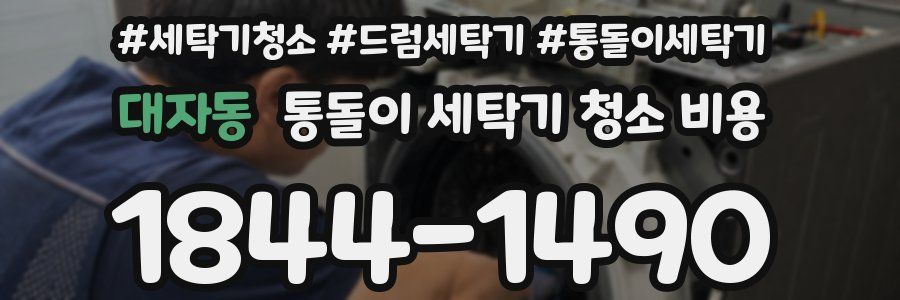 대자동 통돌이 세탁기 청소 비용