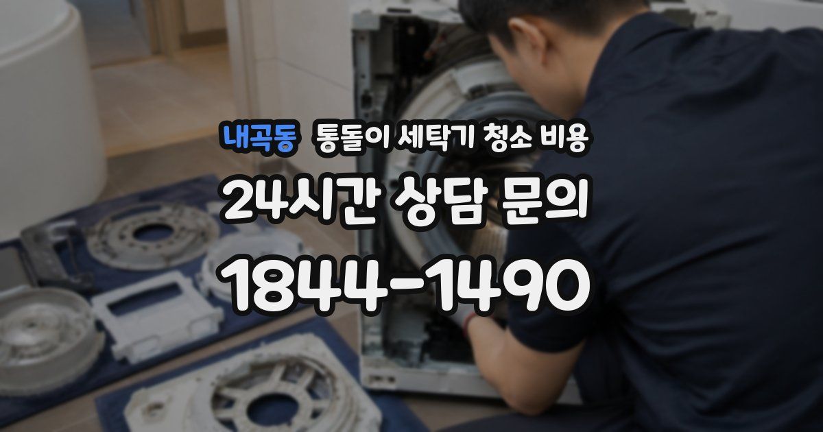 내곡동 통돌이 세탁기 청소 비용