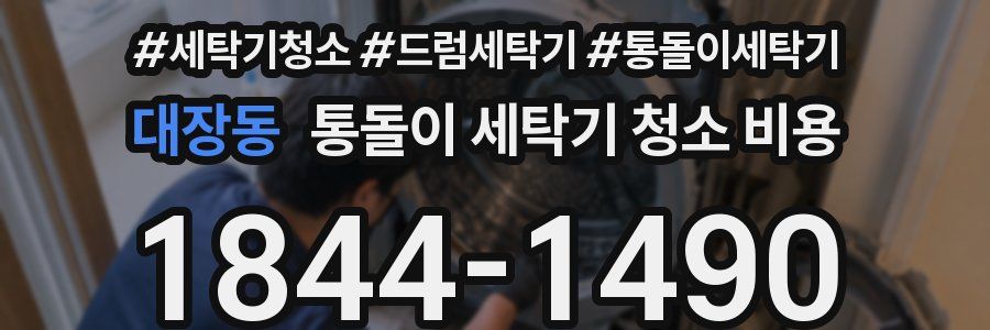 대장동 통돌이 세탁기 청소 비용
