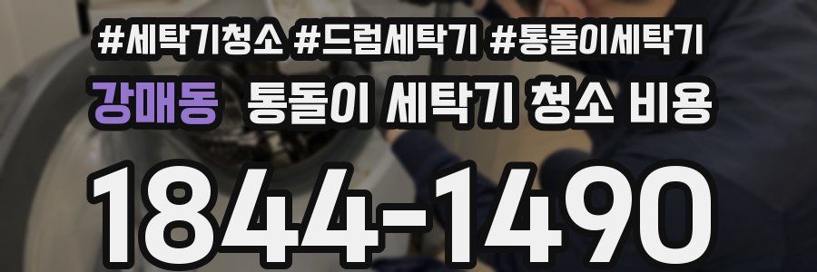 강매동 통돌이 세탁기 청소 비용