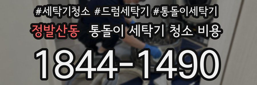 정발산동 통돌이 세탁기 청소 비용