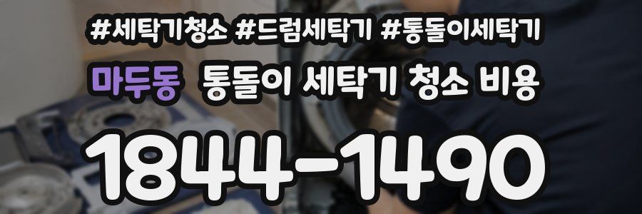 마두동 통돌이 세탁기 청소 비용