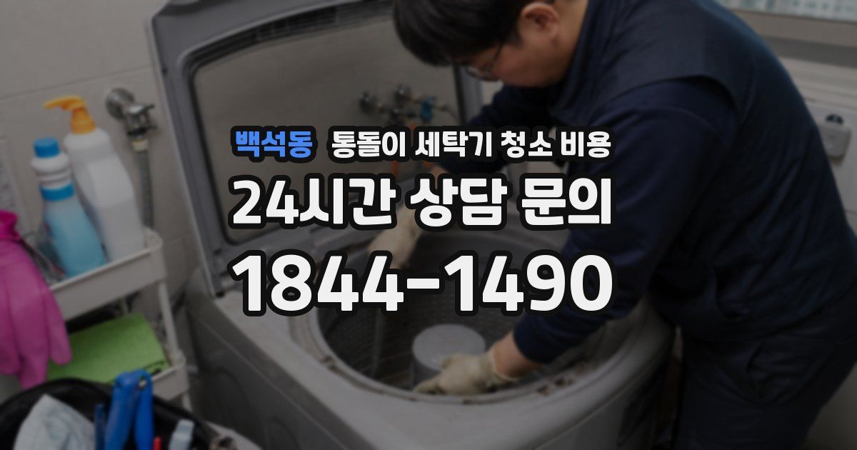 백석동 통돌이 세탁기 청소 비용