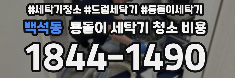 백석동 통돌이 세탁기 청소 비용