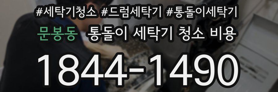 문봉동 통돌이 세탁기 청소 비용