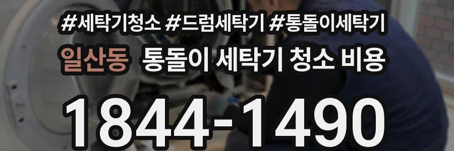 일산동 통돌이 세탁기 청소 비용