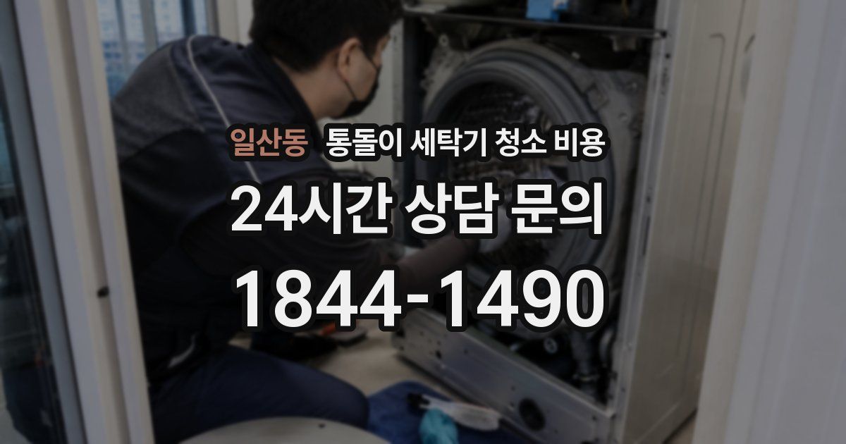 일산동 통돌이 세탁기 청소 비용