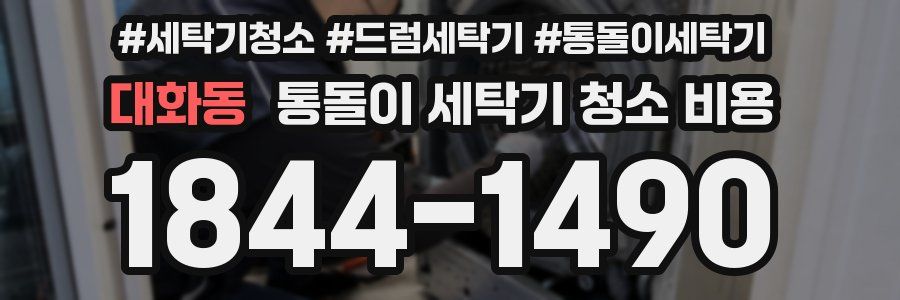 대화동 통돌이 세탁기 청소 비용