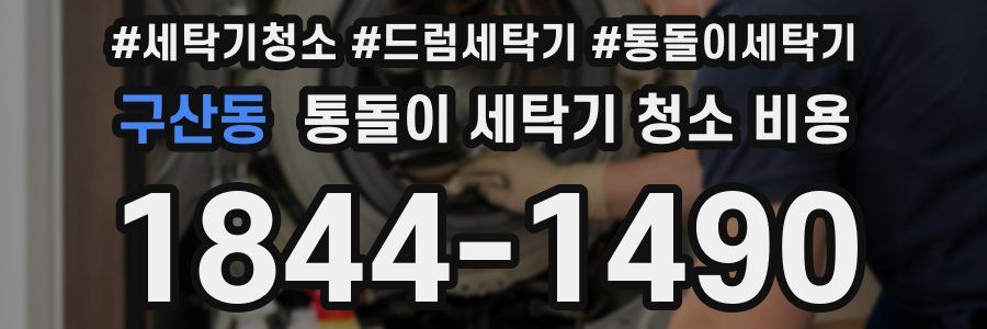 구산동 통돌이 세탁기 청소 비용