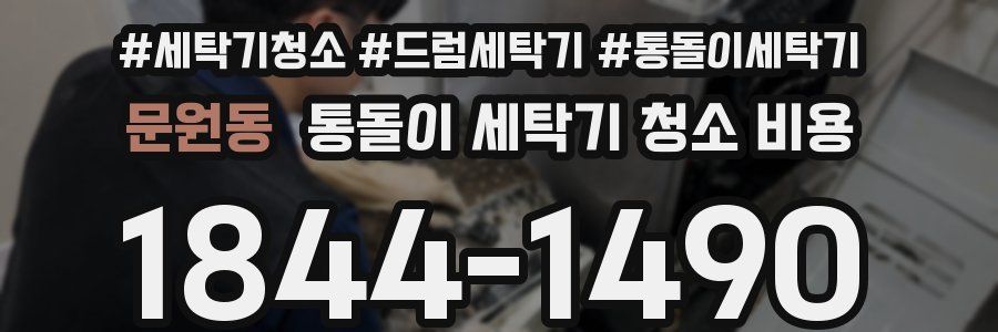 문원동 통돌이 세탁기 청소 비용