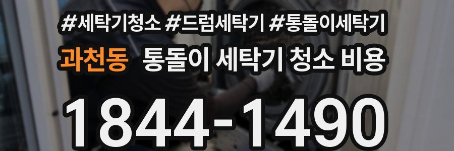 과천동 통돌이 세탁기 청소 비용