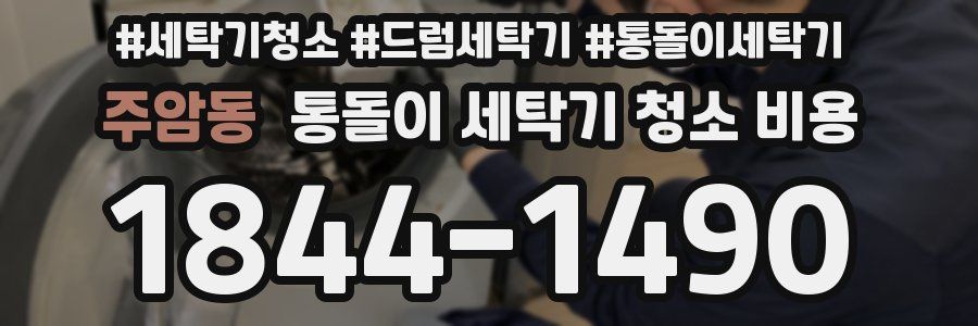 주암동 통돌이 세탁기 청소 비용