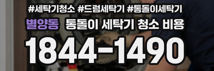 별양동 통돌이 세탁기 청소 비용