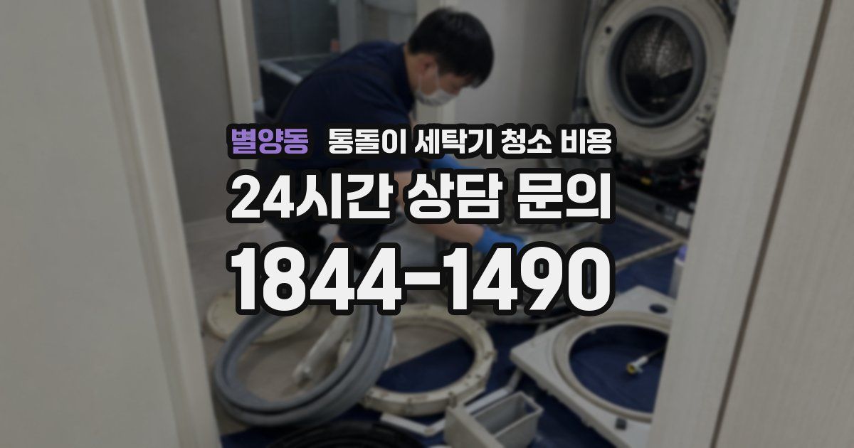별양동 통돌이 세탁기 청소 비용