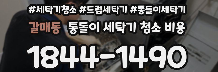 갈매동 통돌이 세탁기 청소 비용