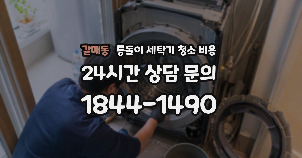 갈매동 통돌이 세탁기 청소 비용