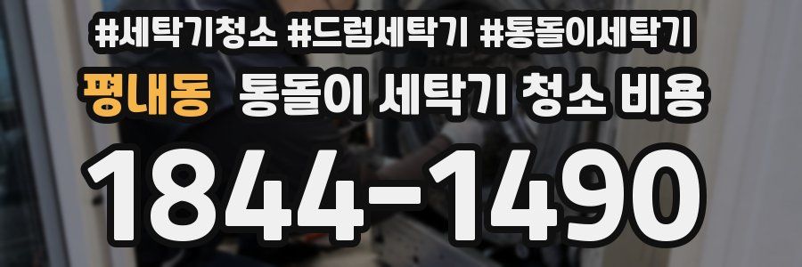 평내동 통돌이 세탁기 청소 비용