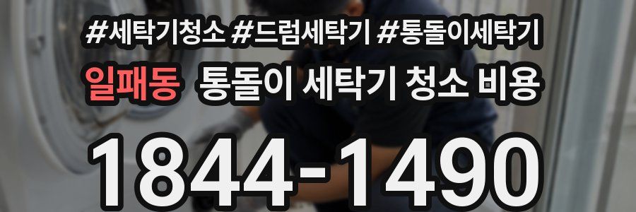 일패동 통돌이 세탁기 청소 비용