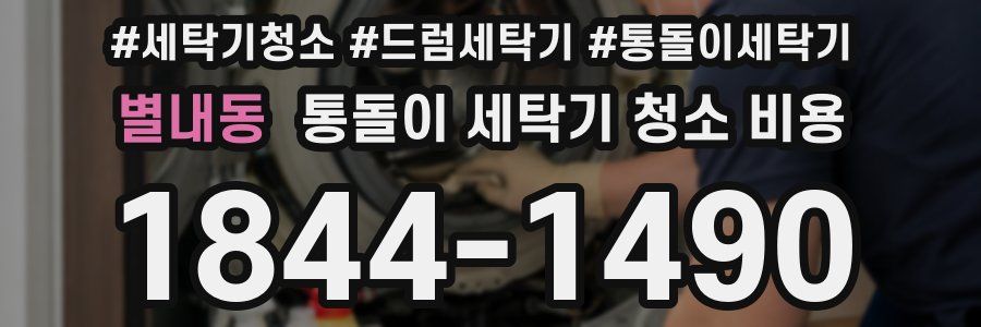 별내동 통돌이 세탁기 청소 비용