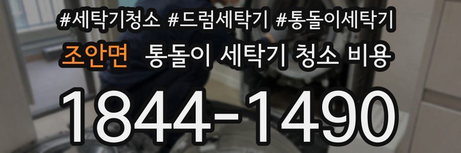 조안면 통돌이 세탁기 청소 비용