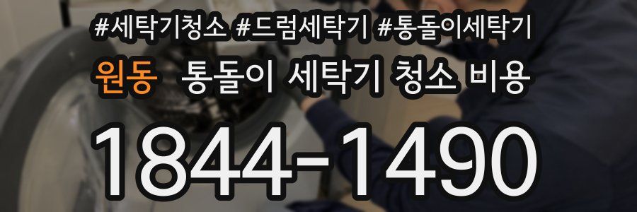 원동 통돌이 세탁기 청소 비용
