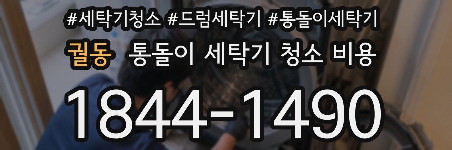 궐동 통돌이 세탁기 청소 비용