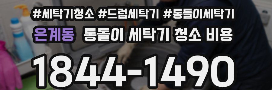 은계동 통돌이 세탁기 청소 비용
