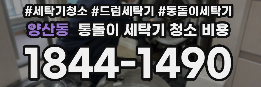 양산동 통돌이 세탁기 청소 비용