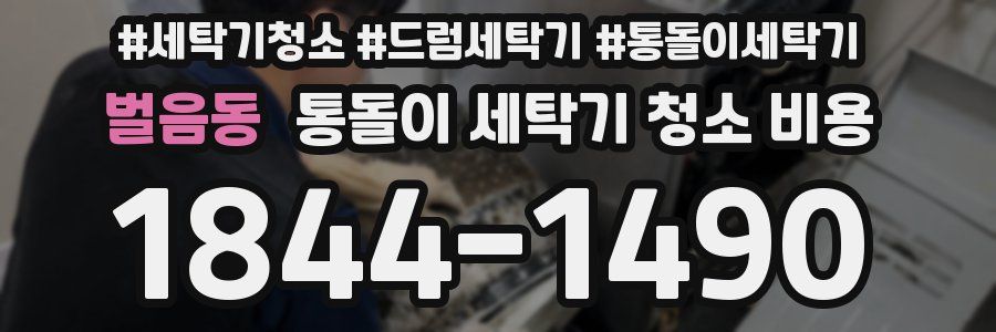벌음동 통돌이 세탁기 청소 비용