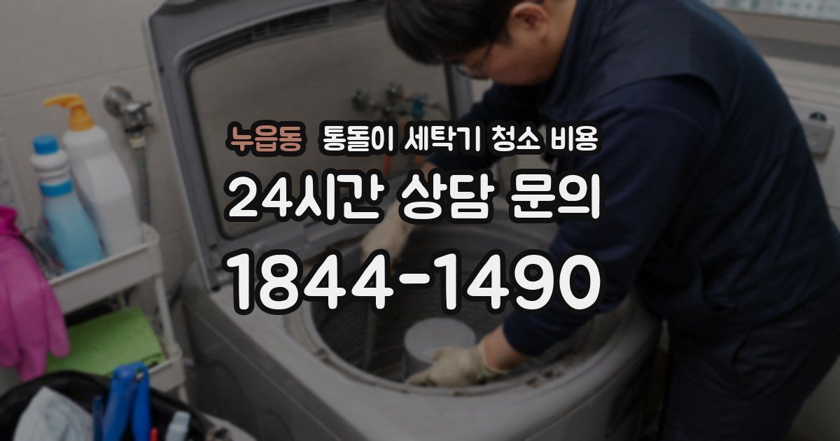 누읍동 통돌이 세탁기 청소 비용