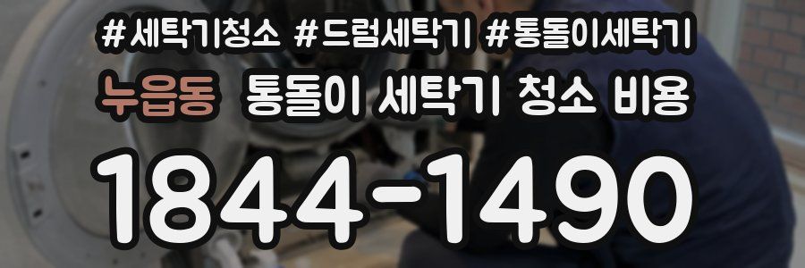 누읍동 통돌이 세탁기 청소 비용