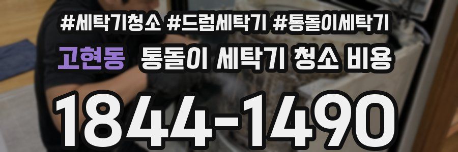 고현동 통돌이 세탁기 청소 비용