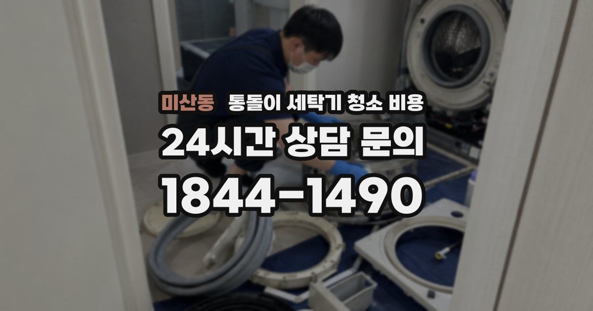 미산동 통돌이 세탁기 청소 비용