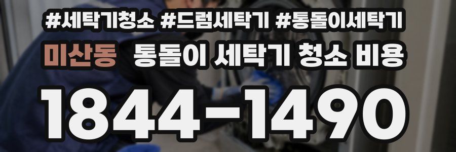 미산동 통돌이 세탁기 청소 비용