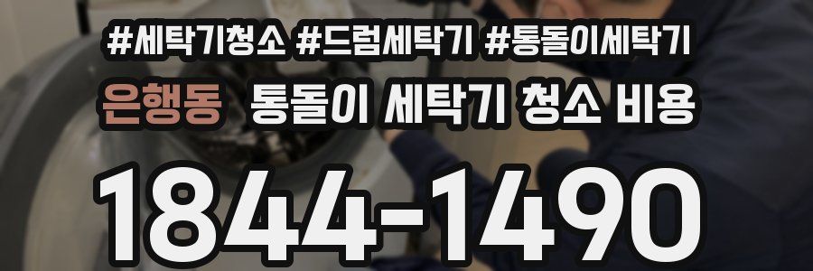 은행동 통돌이 세탁기 청소 비용