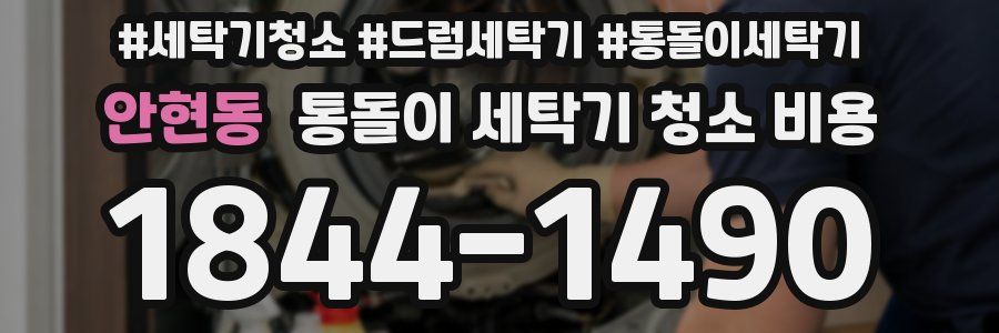 안현동 통돌이 세탁기 청소 비용